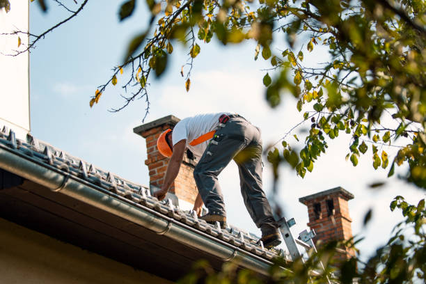 Quick and Trustworthy Emergency Roof Repair Services in Many, LA