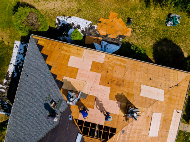 Best Flat Roof Repair Services  in Many, LA