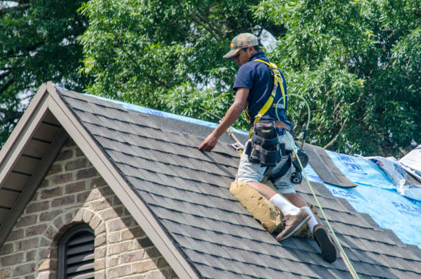 Best New Roof Installation  in Many, LA